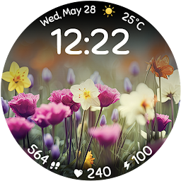 Icon image Spring Flowers