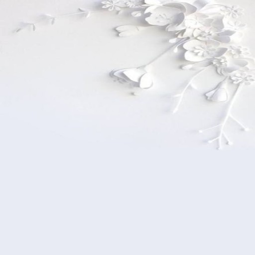 White Wallpapers 2021