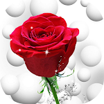 Cover Image of Download Flowers And Roses Animated  APK