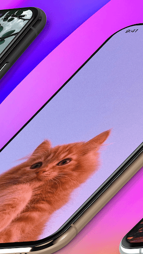 Aesthetic Wallpaper Background Screen 3