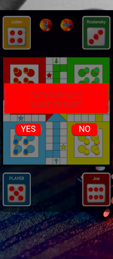 Ludo Princee Screen 3