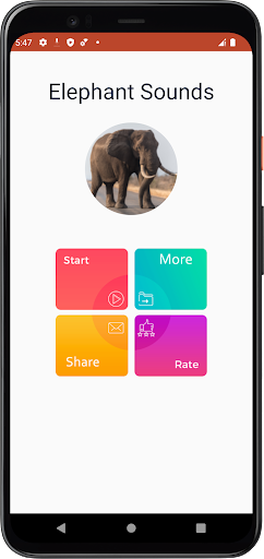 Elephant Sounds Screen 2