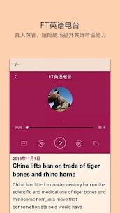 FT Chinese website 3