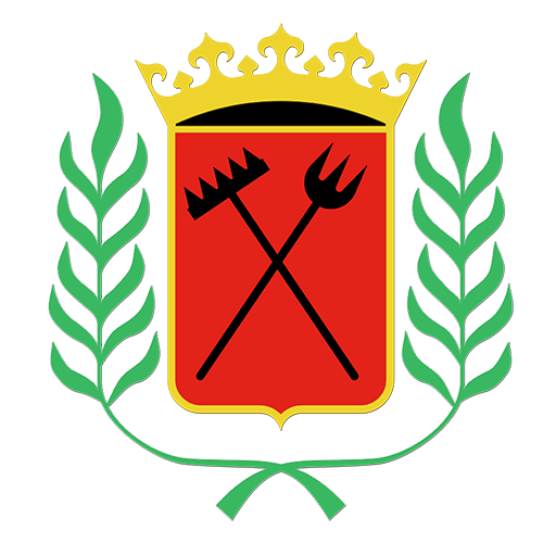 Portal Vallecas logo