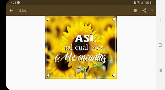 Imágen 8 Girasoles de Amor con Frases R android