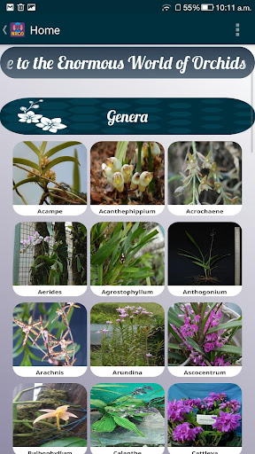 OrchidoPedia Screen 3