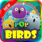 Pop Birds