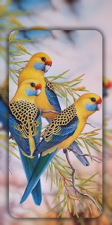 Birds Wallpapers in 4Kのおすすめ画像4