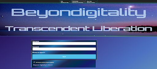 Beyond Digitality Screen 2