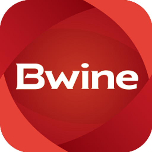 Bwine Drone