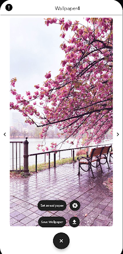 Sakura Wallpapers HD