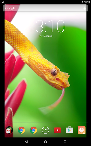 Orange Snake Live Wallpaper