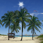 Cover Image of Download Seashore Palms Live Wallpaper  APK