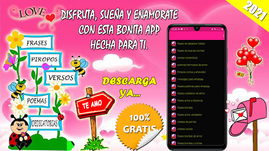 Vista previa de la aplicación