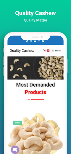 Quality Cashew Screen 3