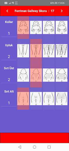 Hirsutizm Skorlama Screen 2