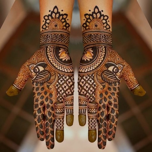 Mehndi Design 2024 logo
