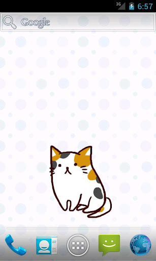 Nyankoro Livetortoiseshell