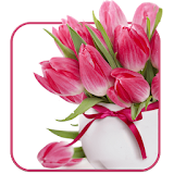 Gracefully tulip bouquet HD icon