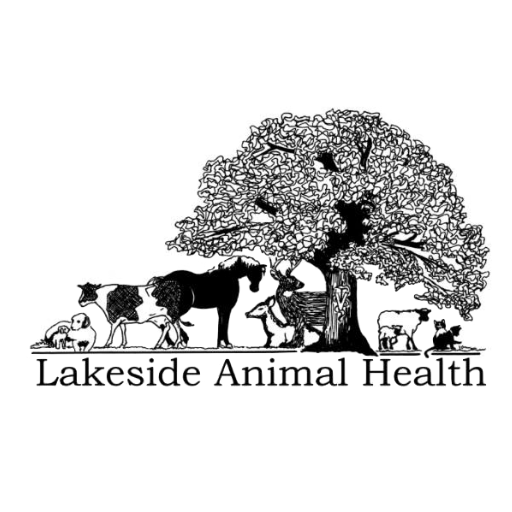 Lakeside Animal Health logo