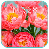 Peonies cute Live Wallpaper icon
