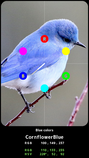 Android application What Color RGB screenshort