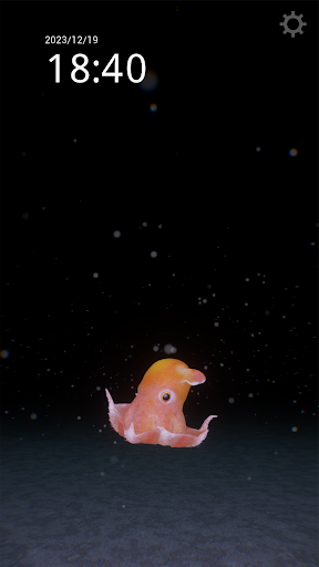 メンダコ：深海観察