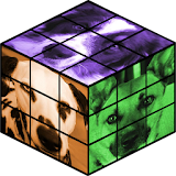 Dogs Rubik's Cube icon