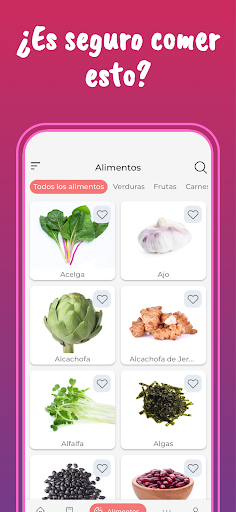Alimentación en el embarazo Captura de Pantalla de la Aplicación Android 2