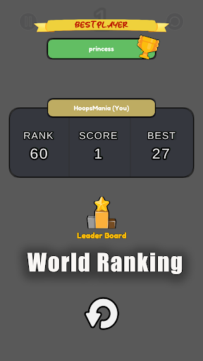 Amazing Basketball Hoop