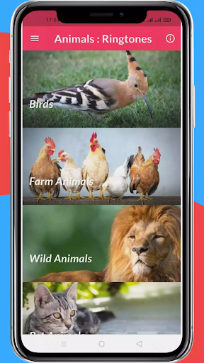 Android application Animals Song: Ringtones screenshort