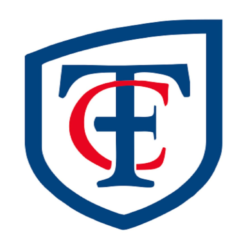 Trackable Car Eye logo