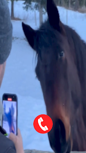 Horse Fake Video Call