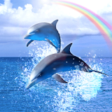 Rainbow Ocean icon