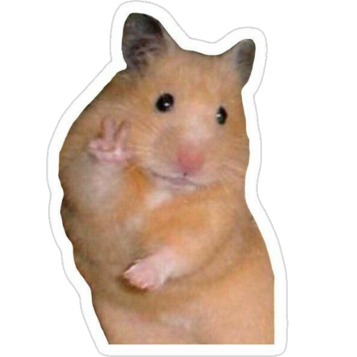 Stickers Memes - WASticker Download on Windows
