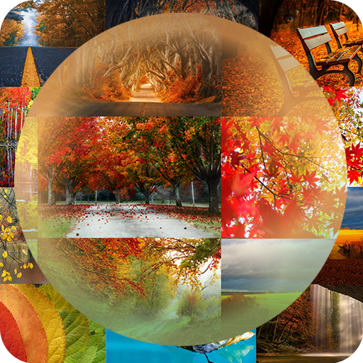 Autumn Timelapse Theme logo