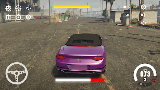 Bentley Simulator Real Driver