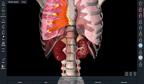 Essential Anatomy 5 MOD (Full Paid, Patched) IPA  For iOS Gallery 8