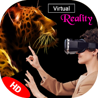 Virtual Reality Video Payer