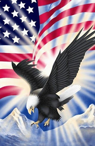 United States Flag Wallpapers Screen 3