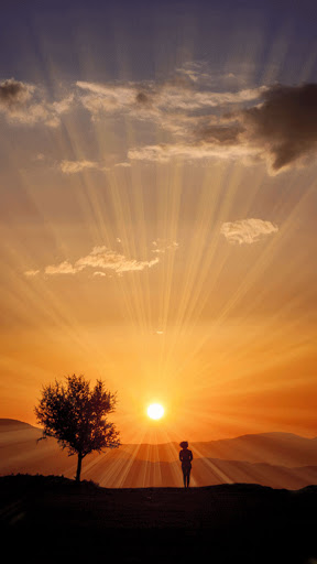 Android application sunset safari wallpaper screenshort