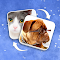 Nebo Apps - Game 2