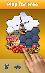 Hexa Jigsaw Puzzle ® 64.01 Apk + Mod 3