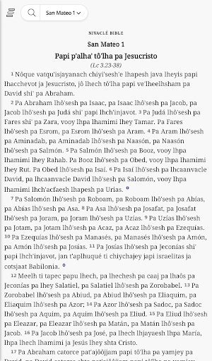 Nivacle Bible Screen 3