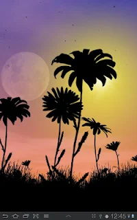 Lovely Daisies Live Wallpaper