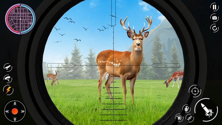 Wild Animal Hunter Shooting - 1.2 - (Android)