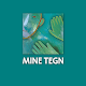 Minetegn Scarica su Windows