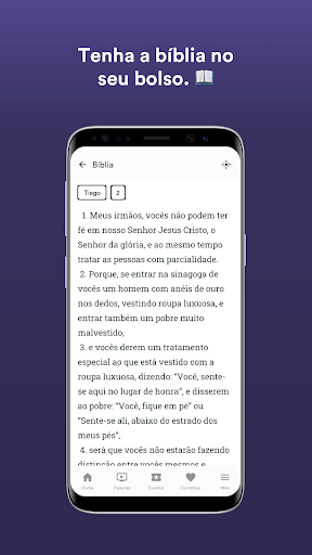 MVN - Palmito Screen 3
