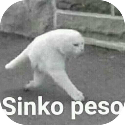 Toma 5 peso logo