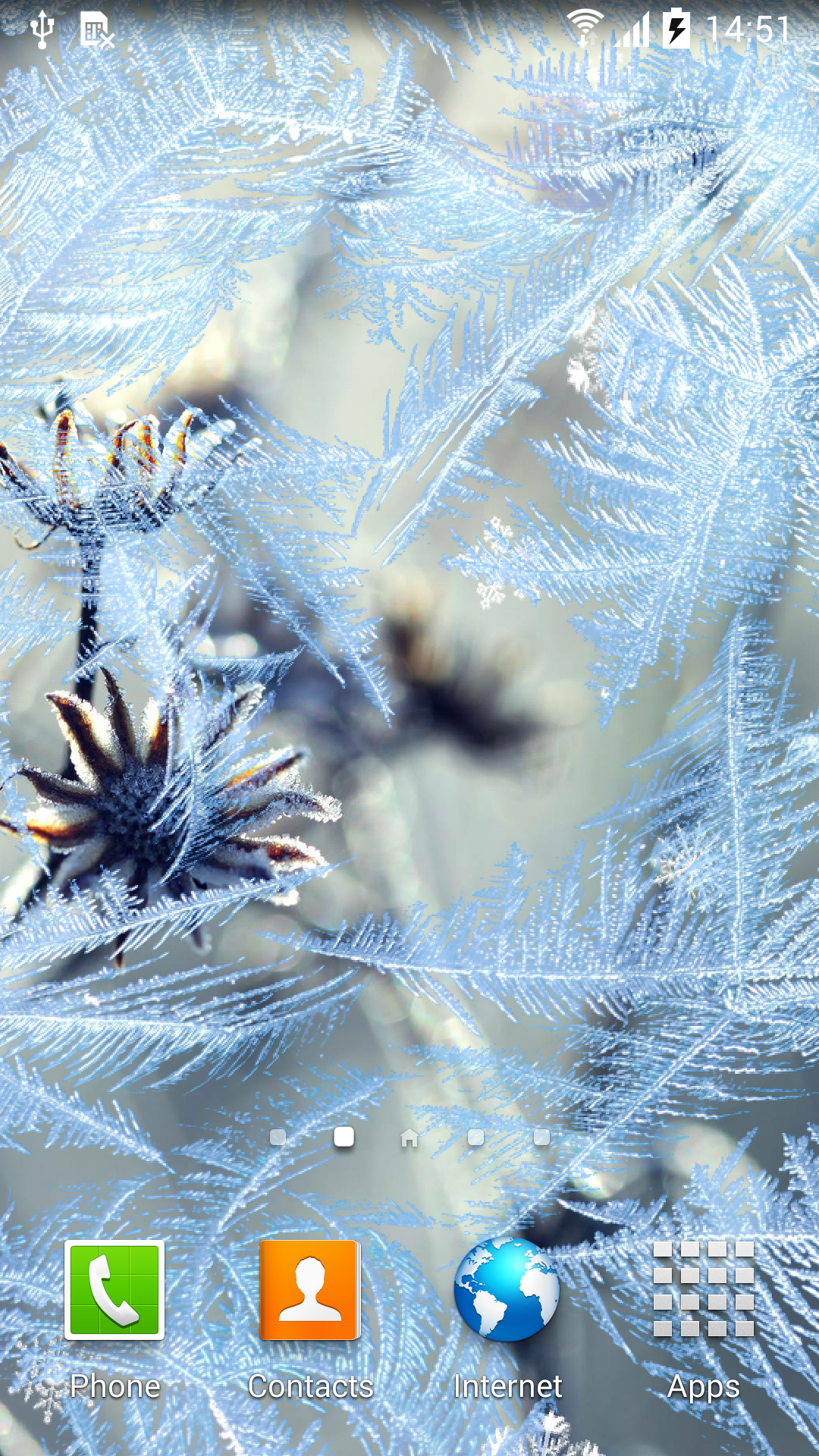 Android application Winter Flowers Live Wallpaper screenshort